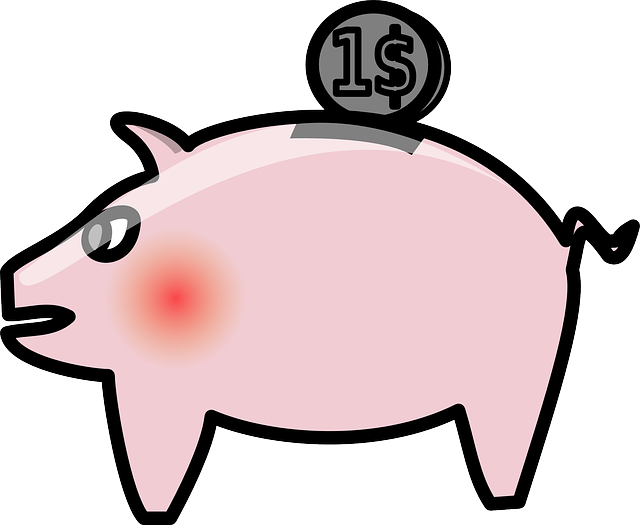 dolar na prasátku.png